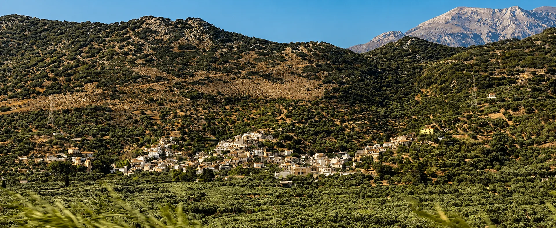 Χουμεριάκο και το γύρω ελαιοκομικό τοπίο της Κρήτης